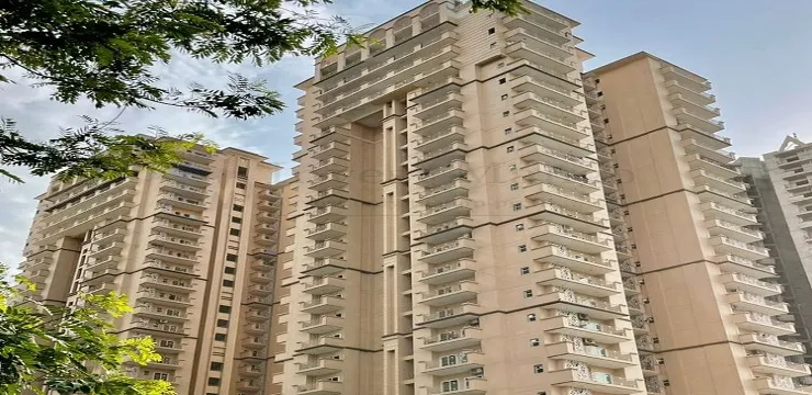 Dev Sai Sportshome